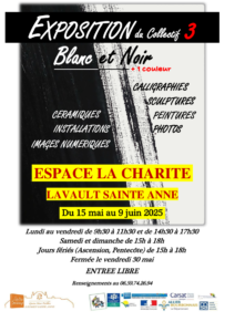 Exposition du 15 mai au 9 juin 2025 @ Centre Social Rural